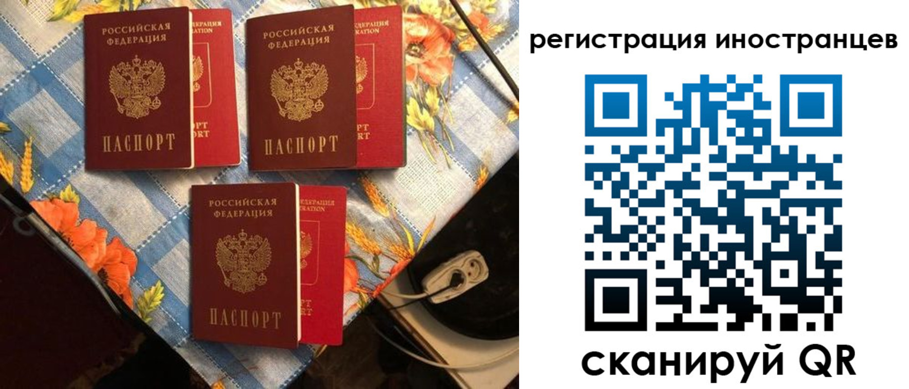прописка поиск в Томске